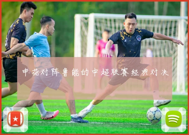 申花对阵鲁能的中超联赛经典对决